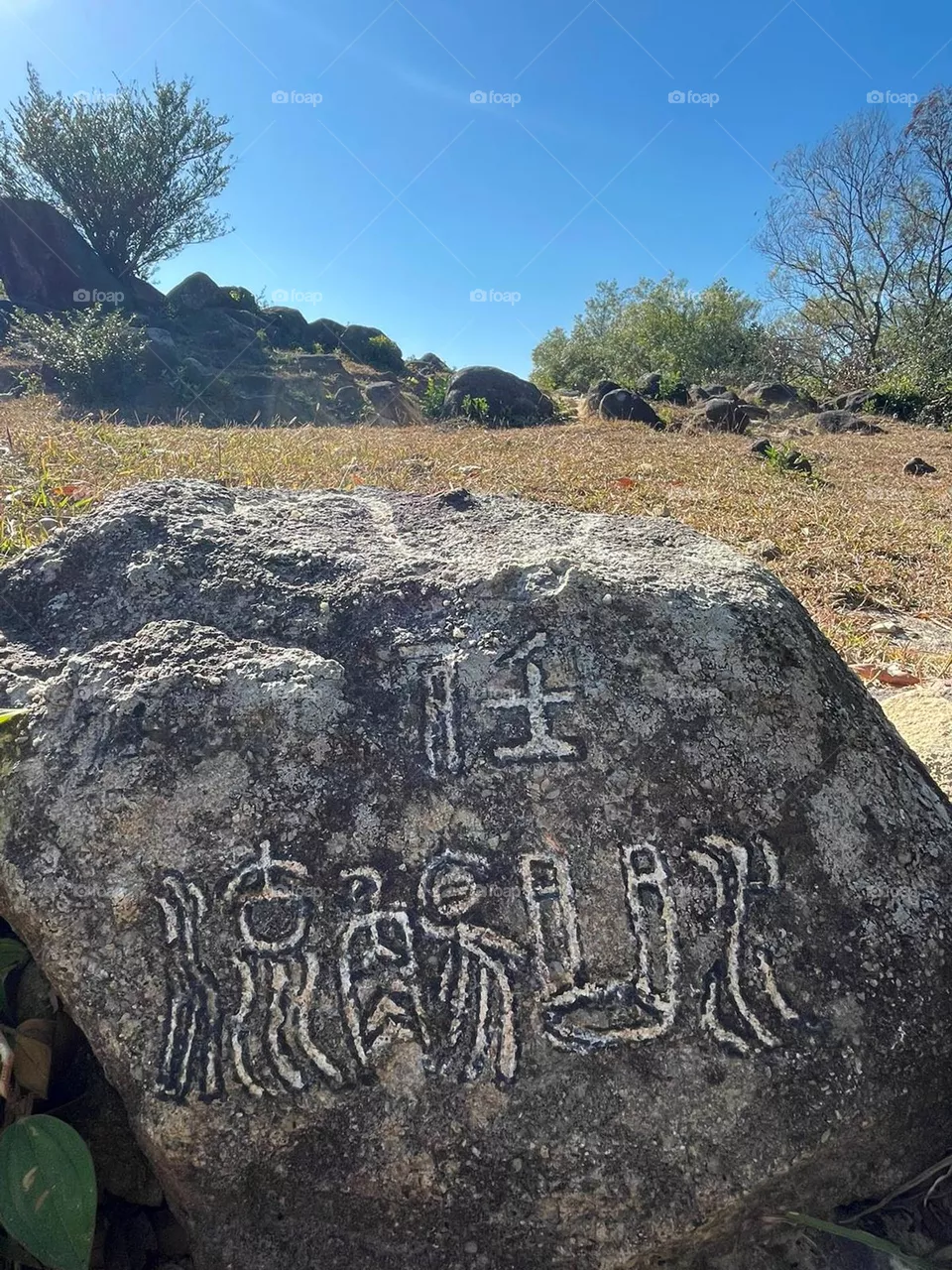 Words on Rock