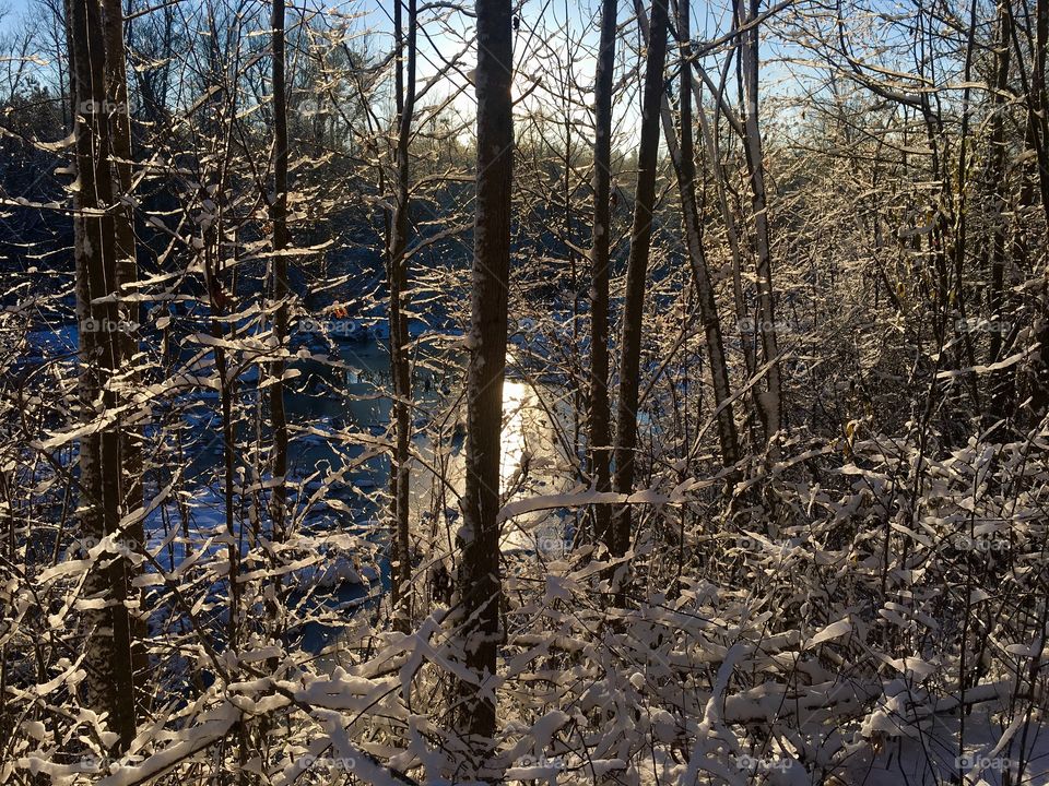 Swamp hiding behind sparkling snow covered branches 