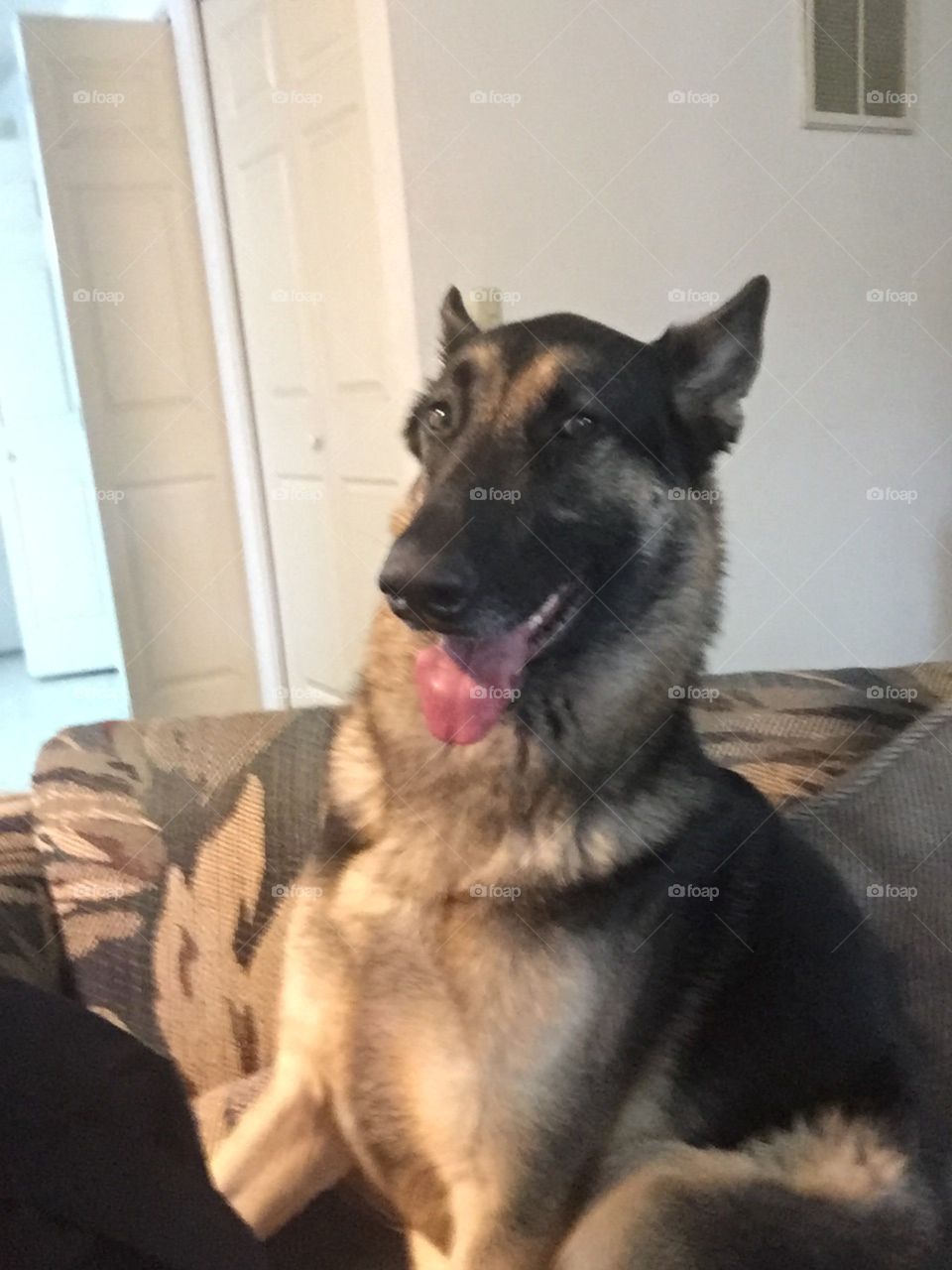 What?? I was here first... LOL