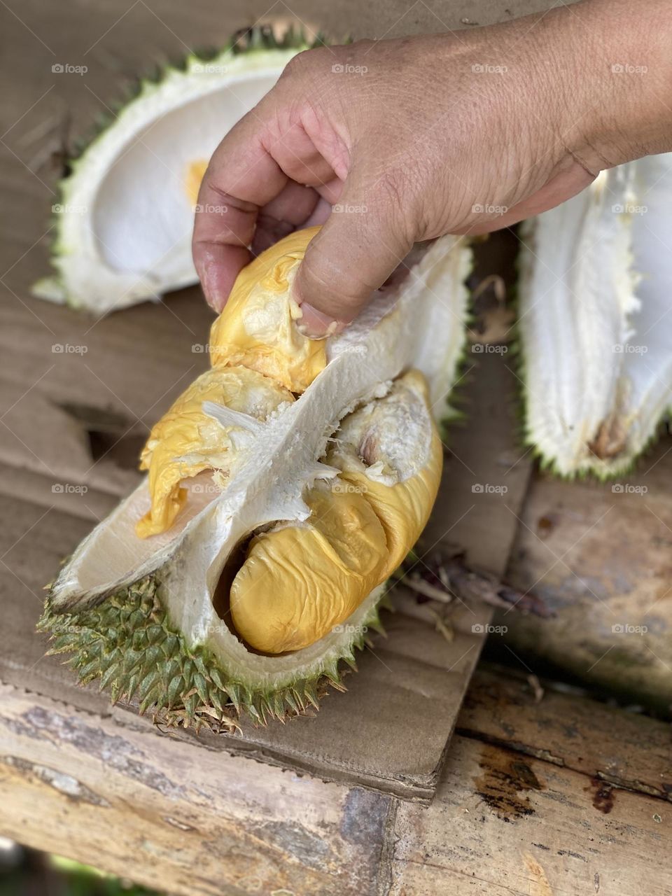 Durian fruit cut in half on a wooden table. Pick up a piece by hand. 