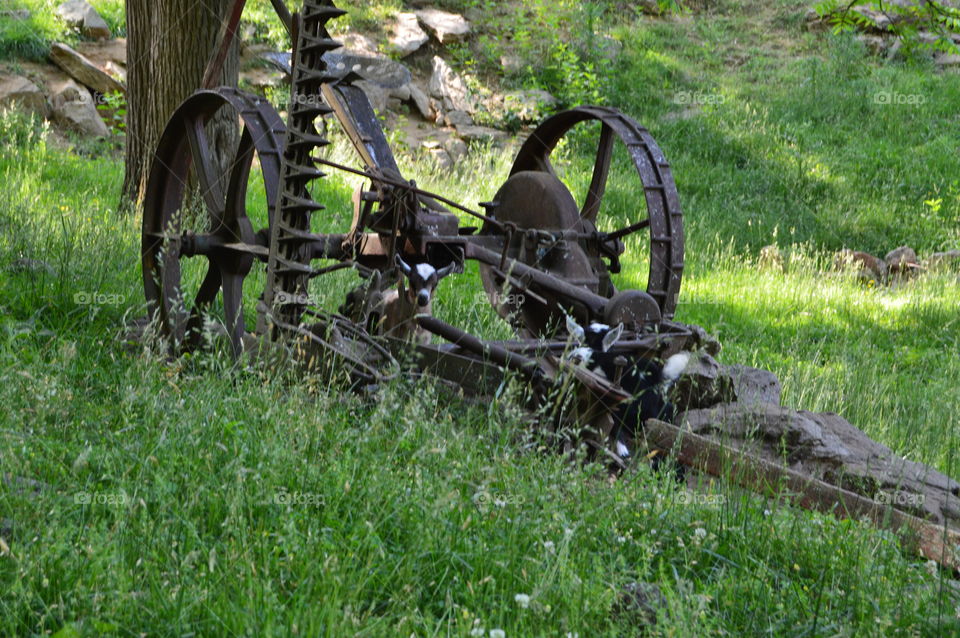 old grass mowing machine
