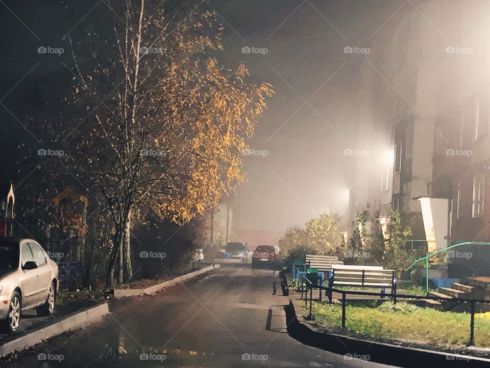 Foggy fall night