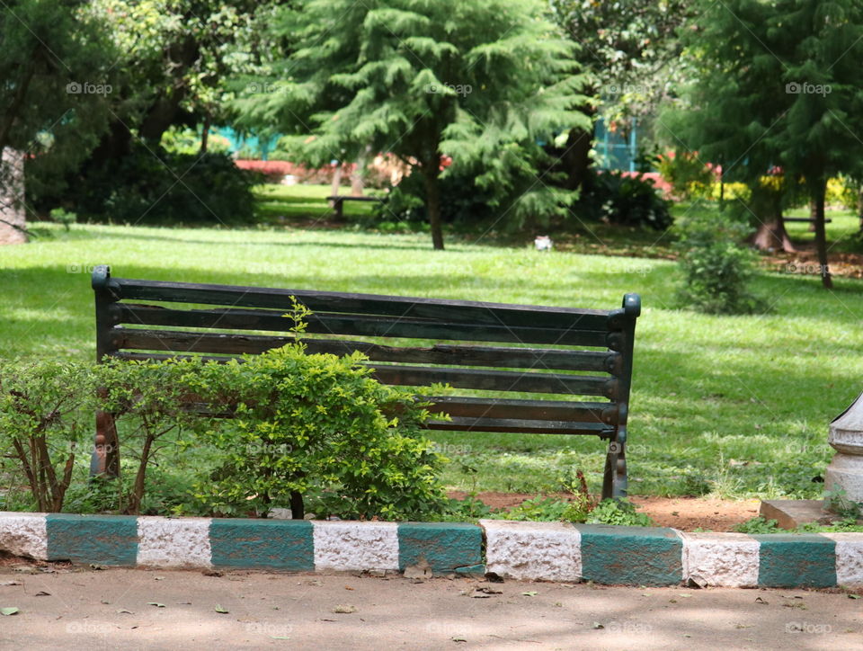 bench