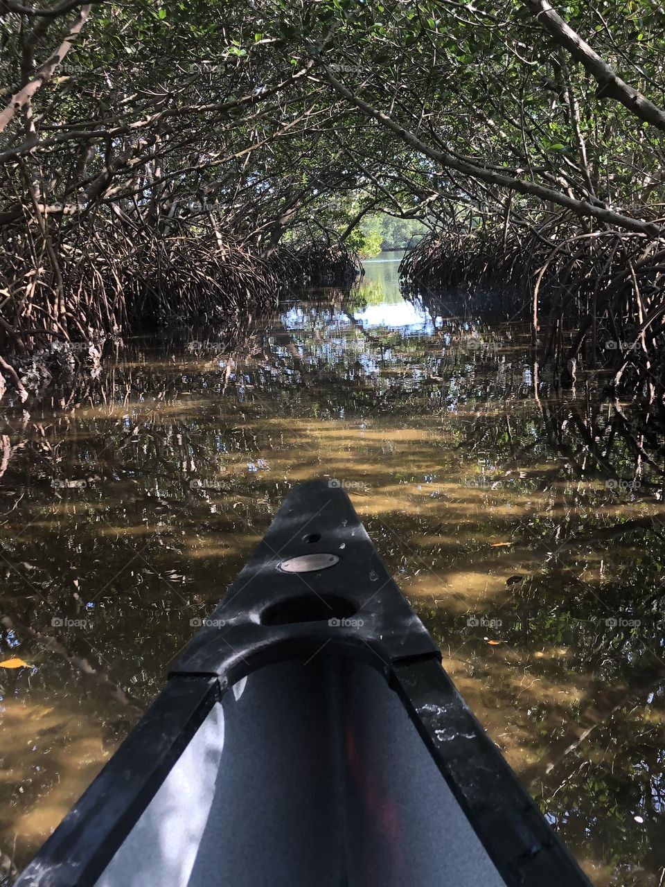 Kayaking Mangrove Adventure