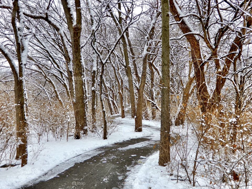 Winter on a trail in a park in the woods in Indiana 