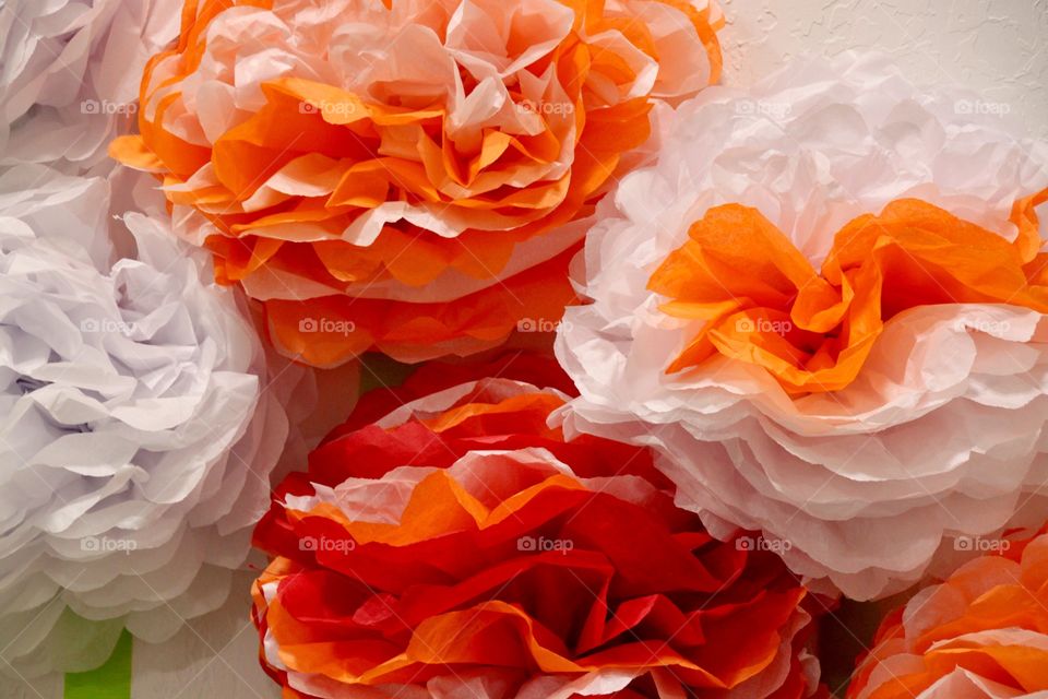 Orange Paper Flowers