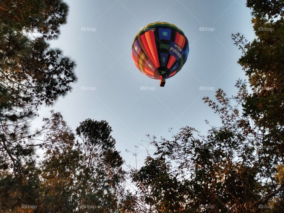 Hot air balloon flying over the trees