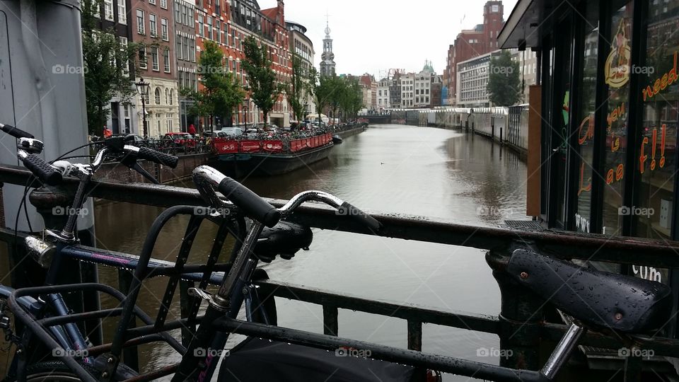 by bike in Amsterdam