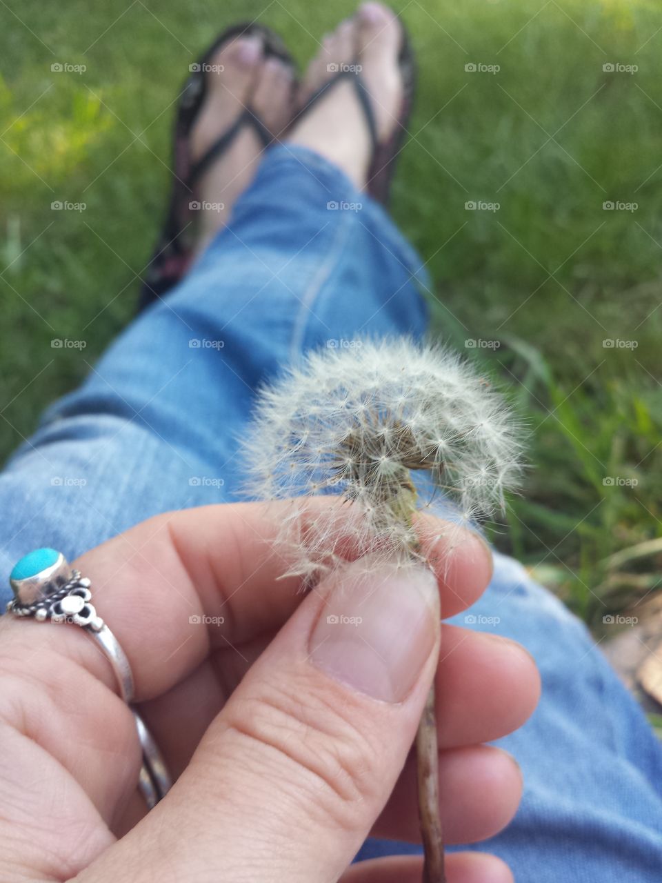 Handful of Wishes