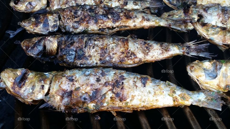 High angle view of grilled fish