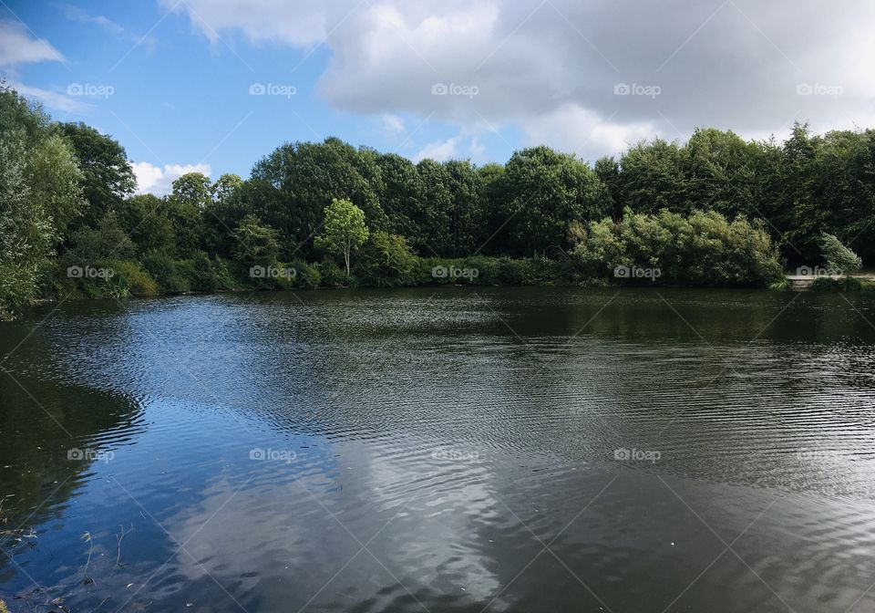 A beautiful, large and peaceful lake on a warm, sunny morning - very good for calming the soul...