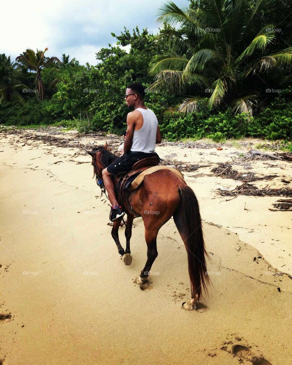 Horse back riding along a beach