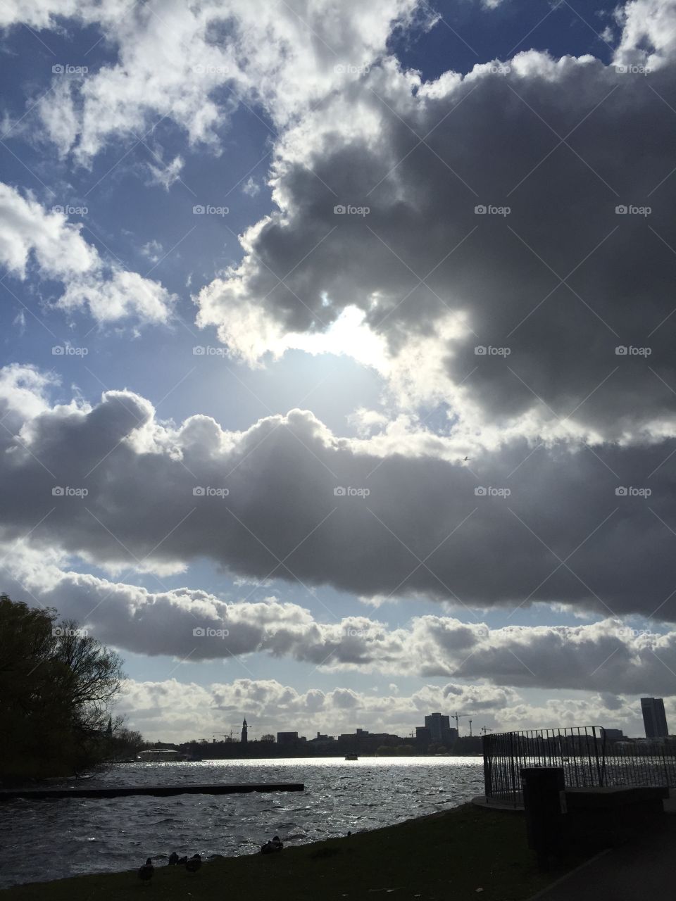 Scenic view of nature