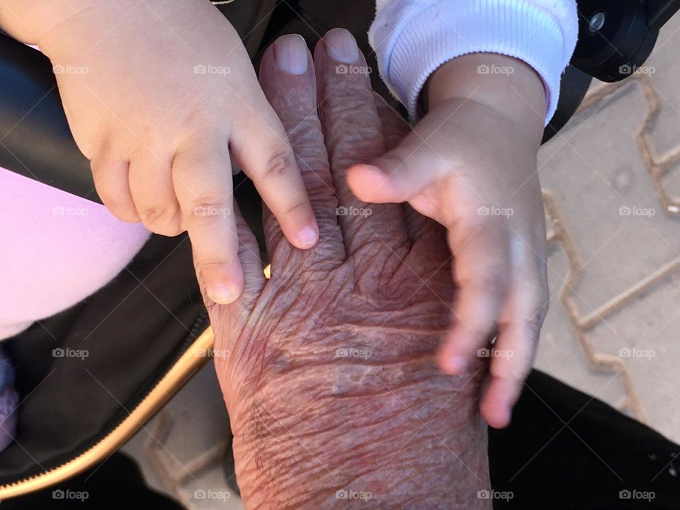 Young and old hands