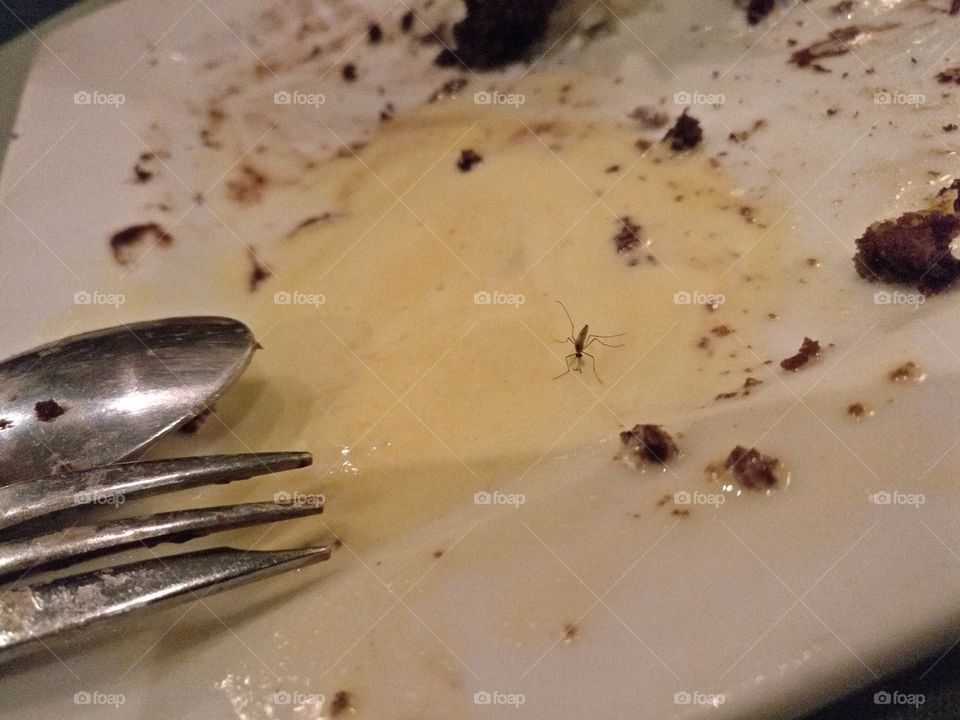 Random Uncommon Sights