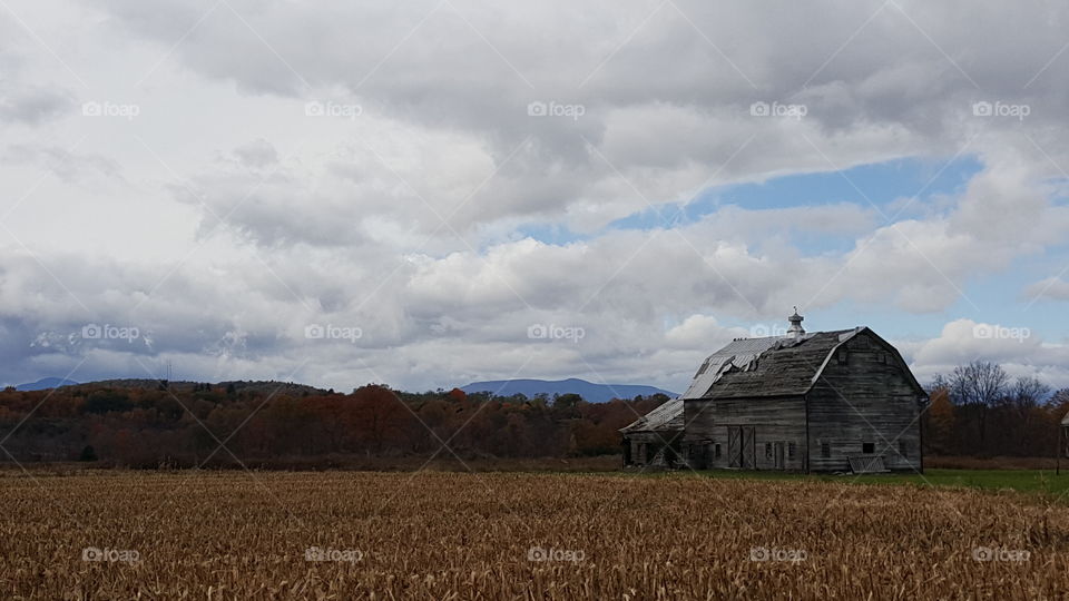 old barn in country landscape