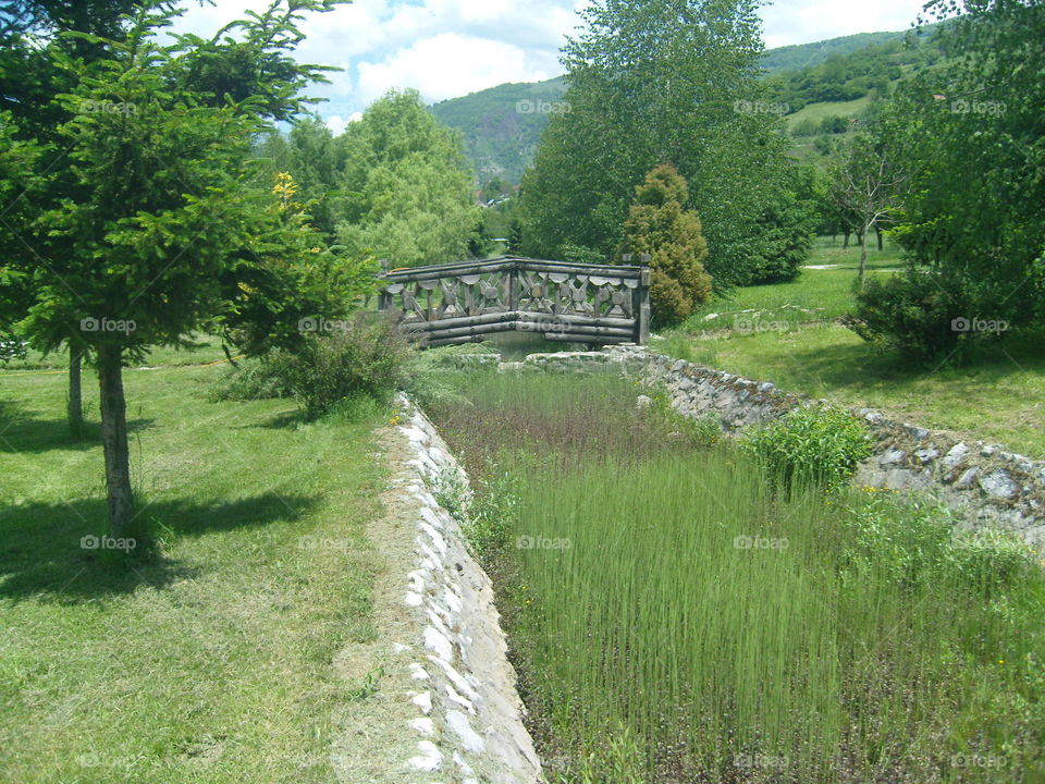 Plav river canal with reed and bridge