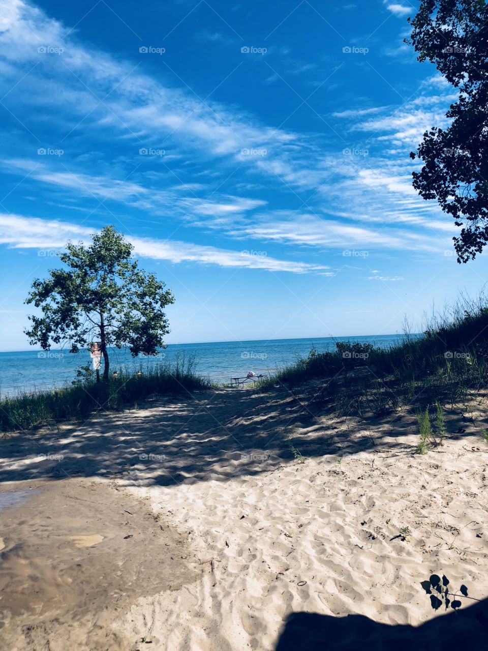 Beach scene 