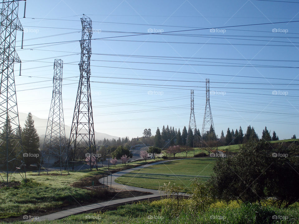 Park with electric wires dominating the scenery.