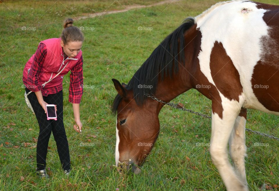 Mammal, Pasture, Grass, Farm, Horse