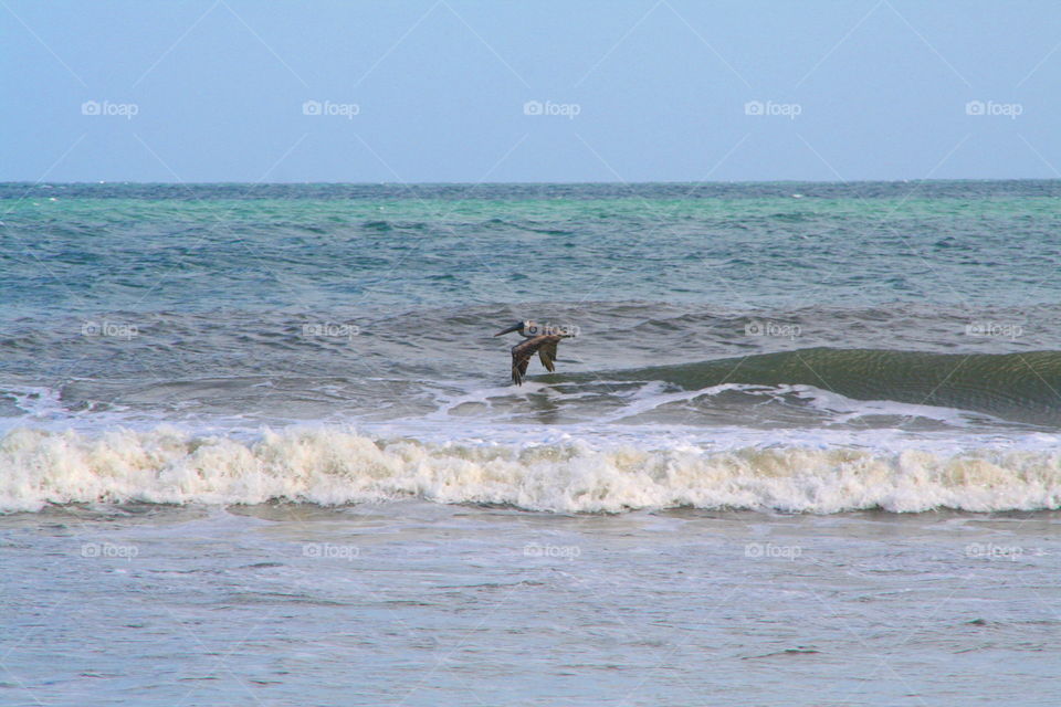 Riding the Wind ( Series )