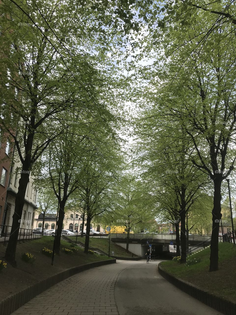 Spring in örebro Sweden 