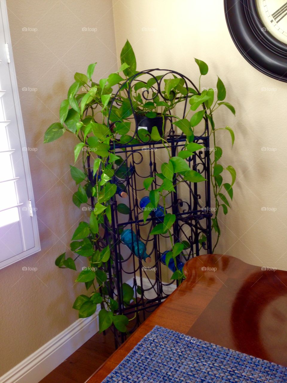 Plant around wine stand 