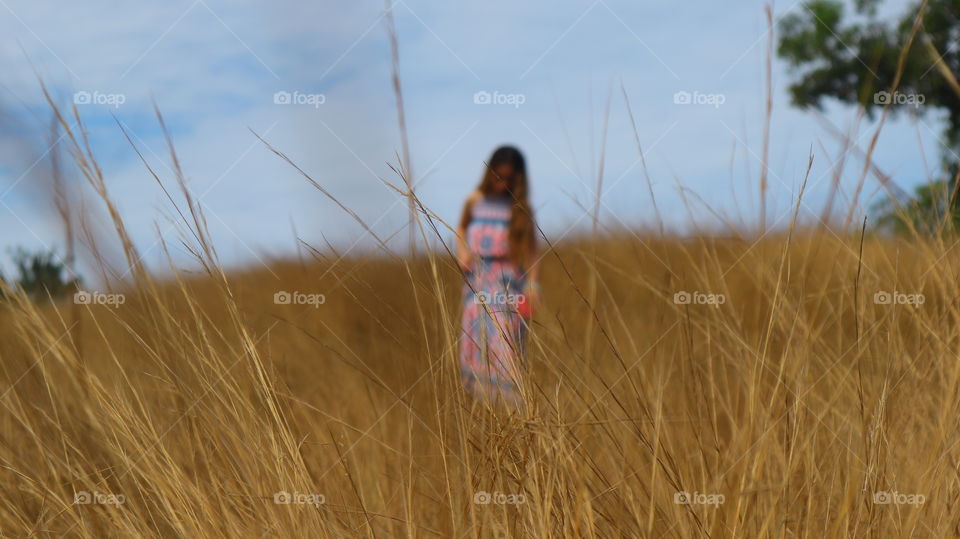 in the grass