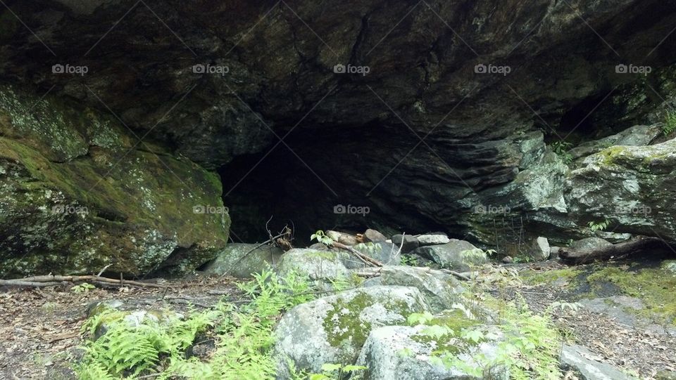 Cave in the forest