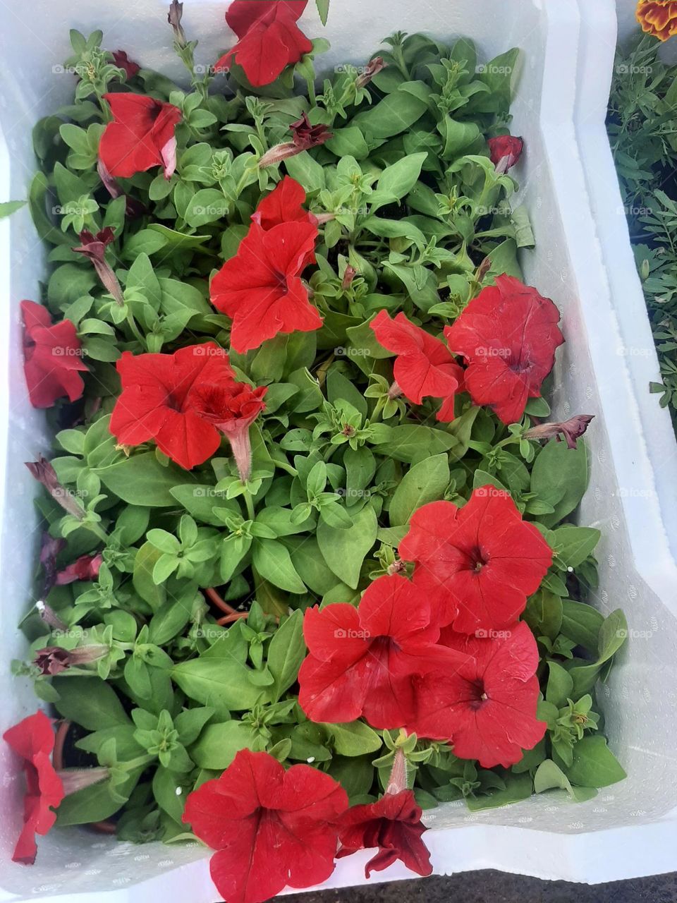 Please make me happy, I am poor, I need your help with support