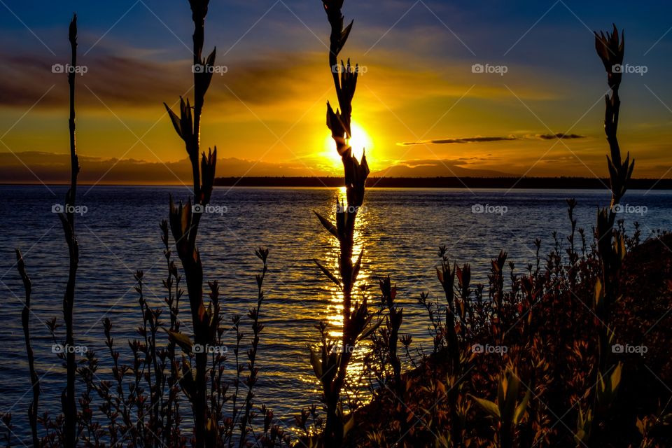 Beautiful sunset on the cook inlet down by the port of Anchorage, Alaska