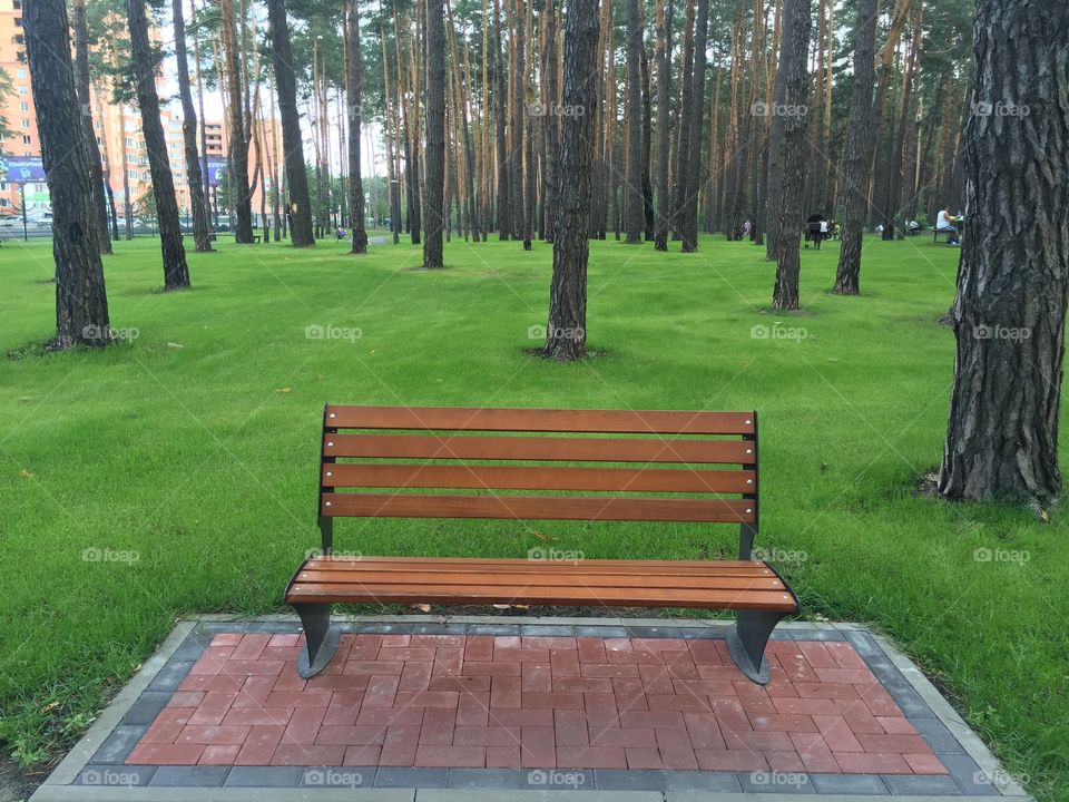 A modern bench in the park 