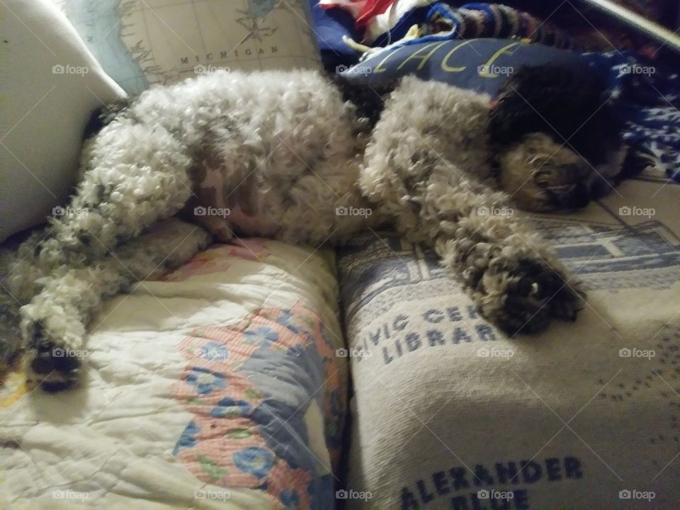 When one couch isn't big enough