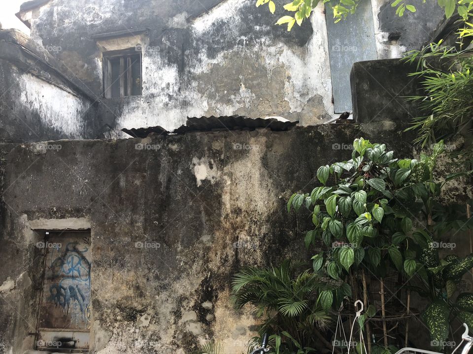 Concrete rustic wall decaying 