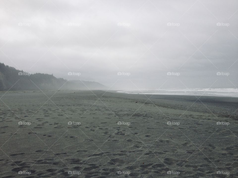 Empty foggy beach
