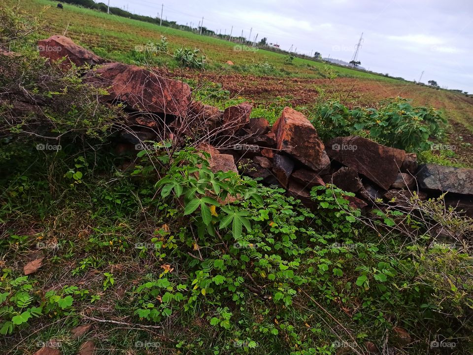 it's all about nature