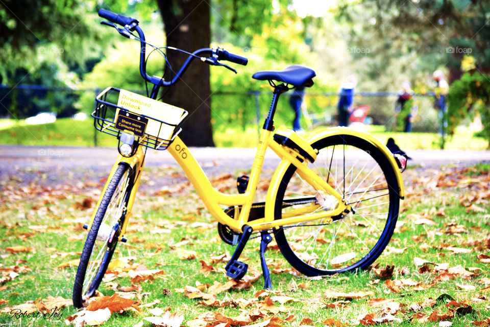 Bicycle for public use , located at Green park to promote health and wellness