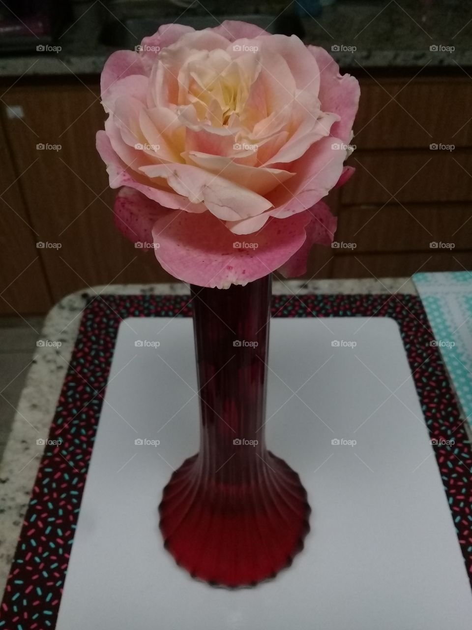 Um singelo vaso de flores com a roseira solitária. Ser romântico ainda vale a pena! Gesto bem simples e cativante.