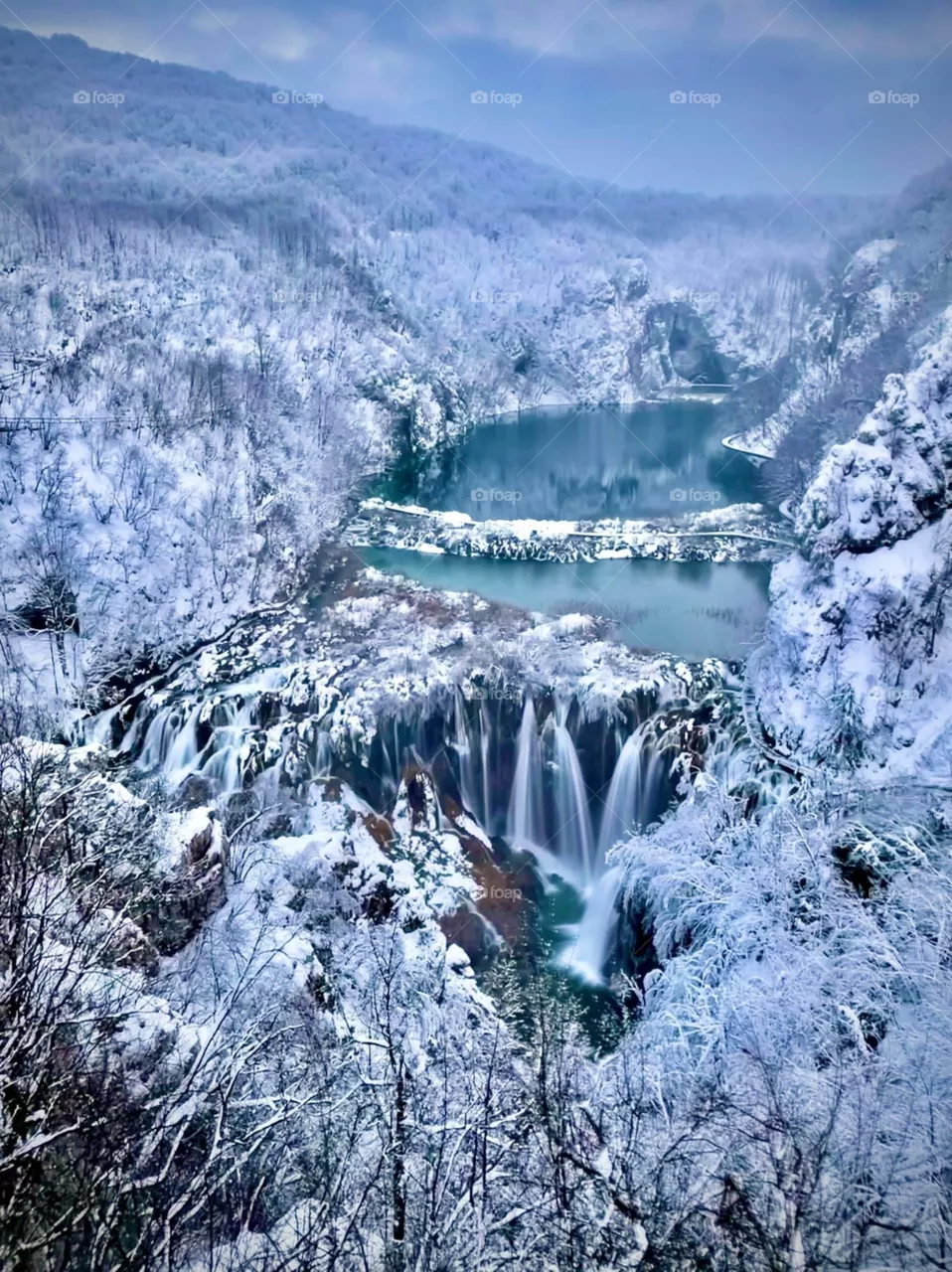 Beautiful white