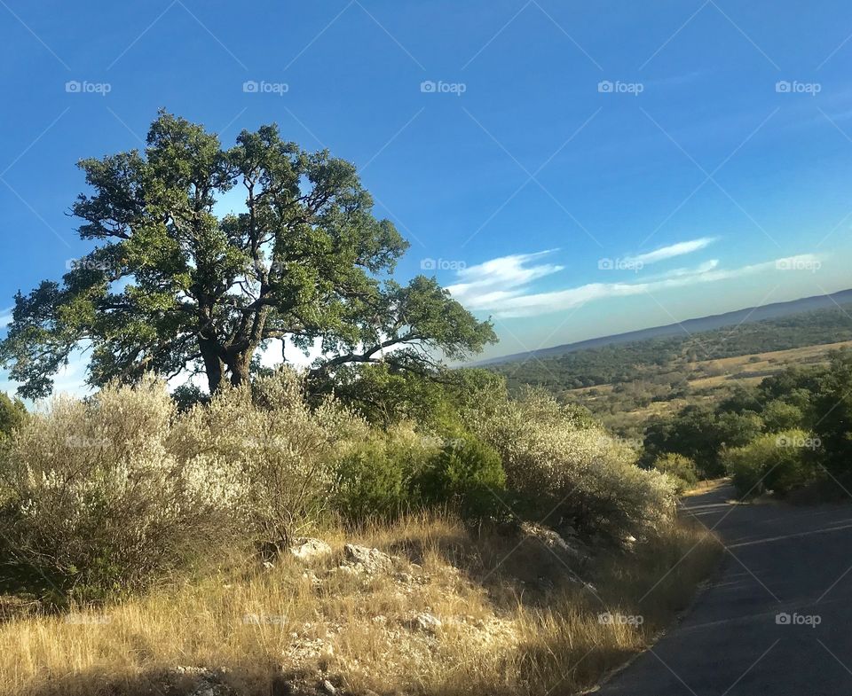 Texas Hill Country 
