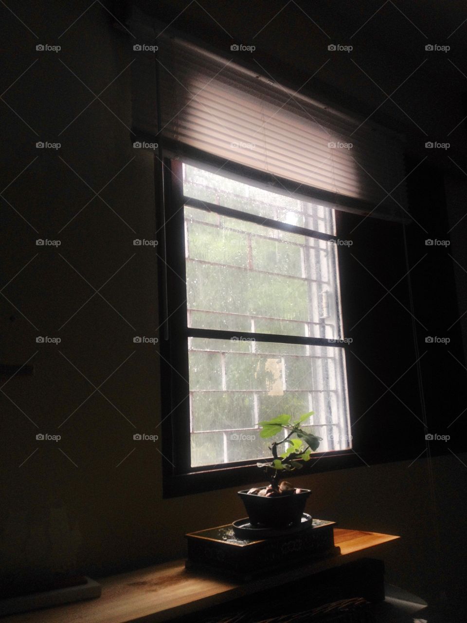 Winter morning window 