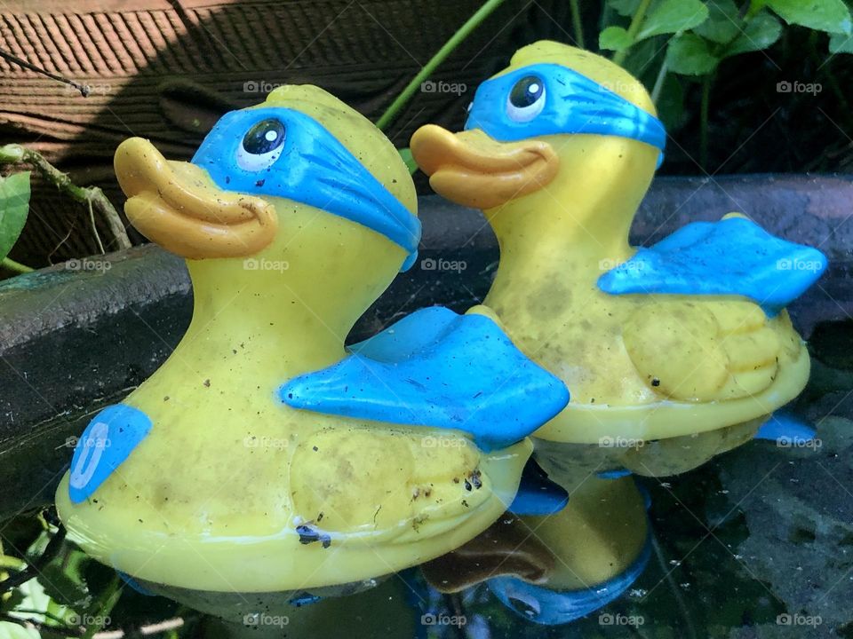 Bathtub rubber duckies found floating in a garden water fountain- cute touch