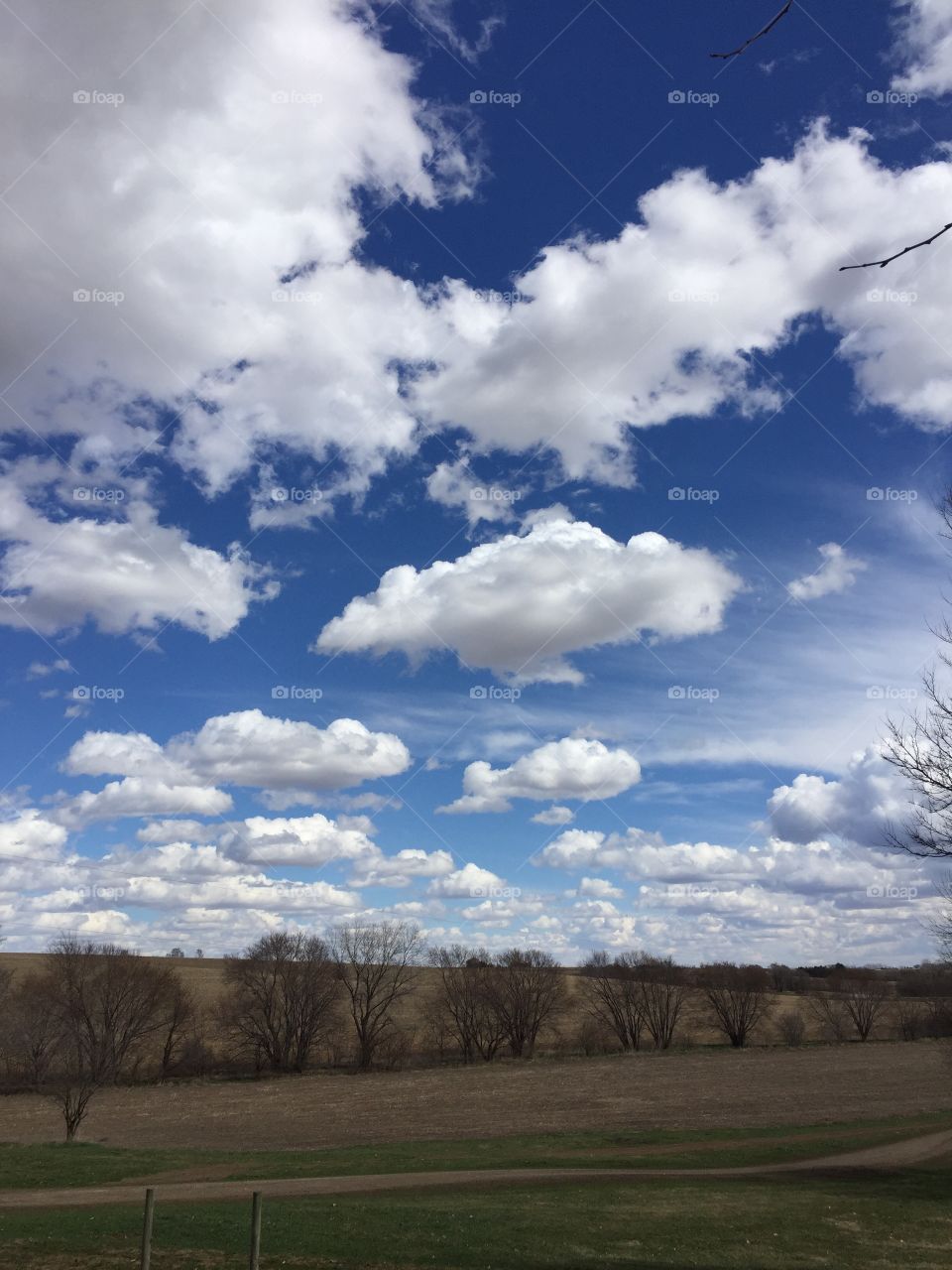 Summer on the Prairie