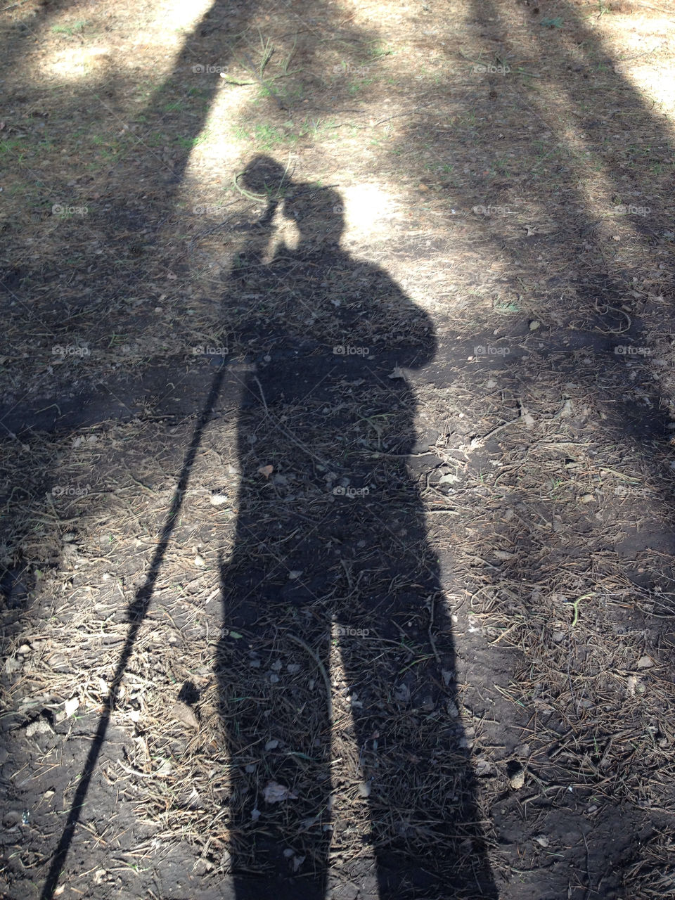 Silhouette of photographer
