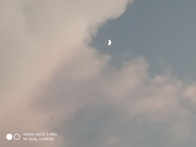 Day moon