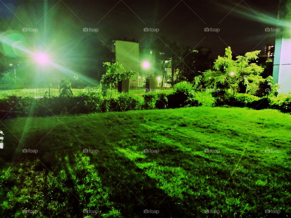 Blanket Of Nature
Green Grass
Night Scene 🌌
Park