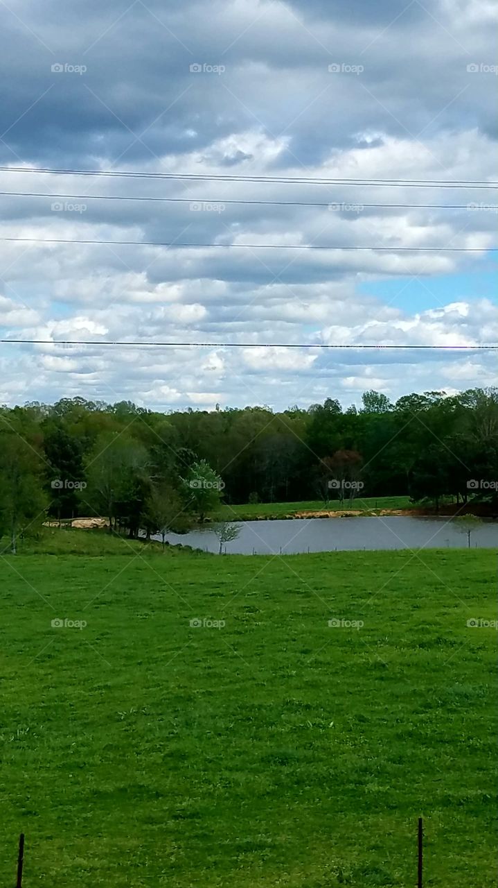 pasture land with a pond in Georgia