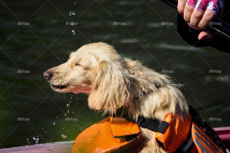 Remy goes canoeing