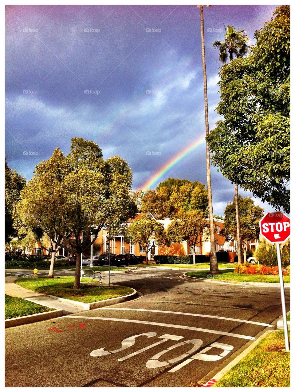 Double Pot O Gold