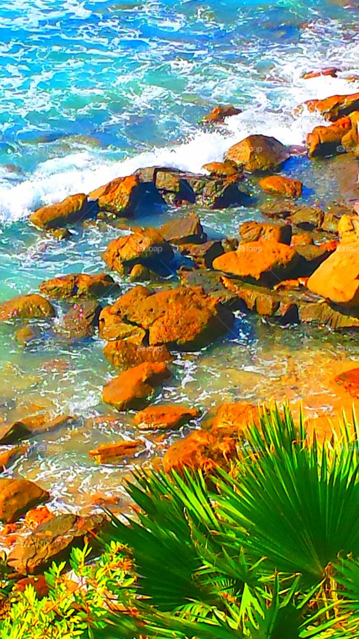 Laguna Beach Cove. Laguna Beach Cove @ Hiesler Park